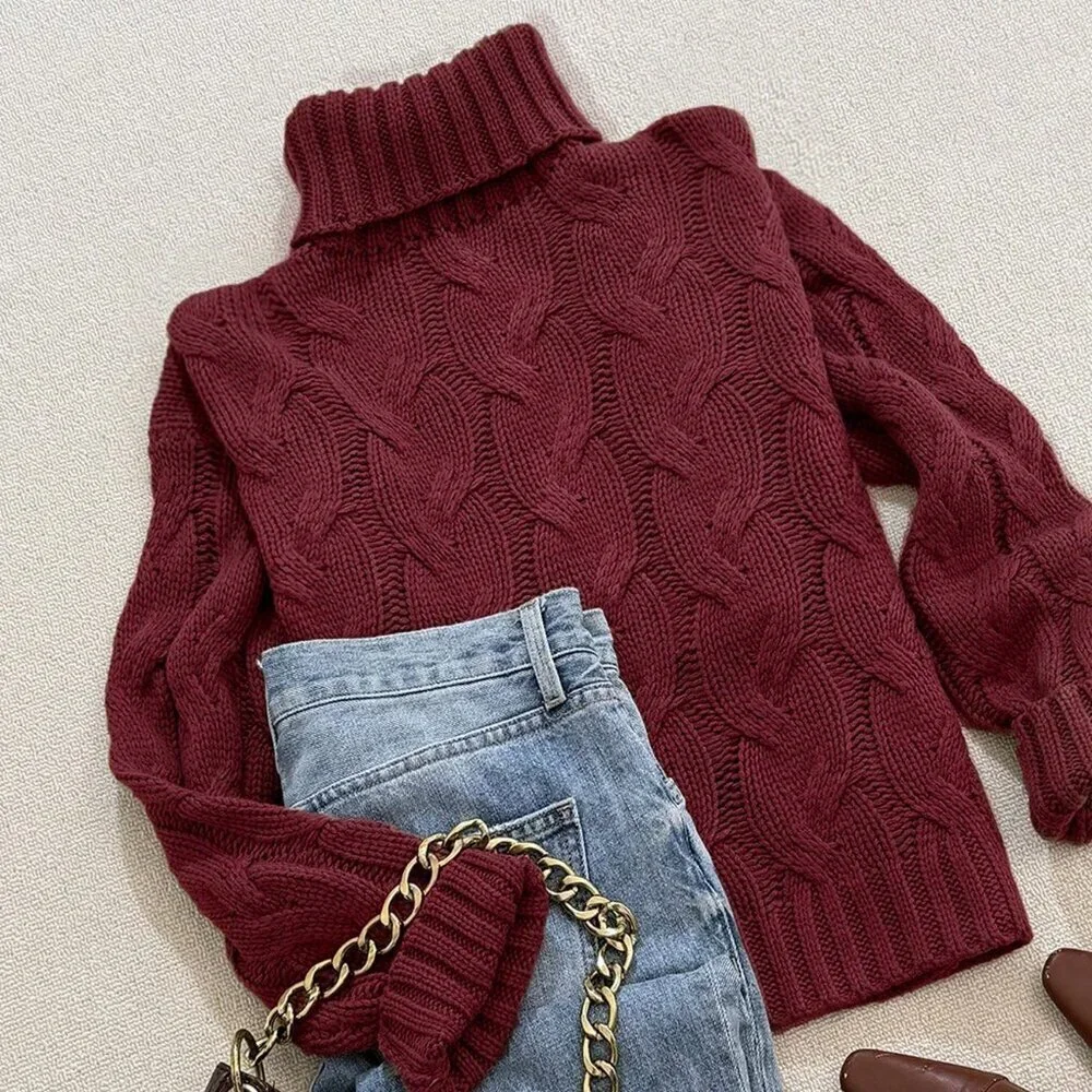 Burgundy Casual Women's Comfortable Twisted Rope print Textured highneck sweater